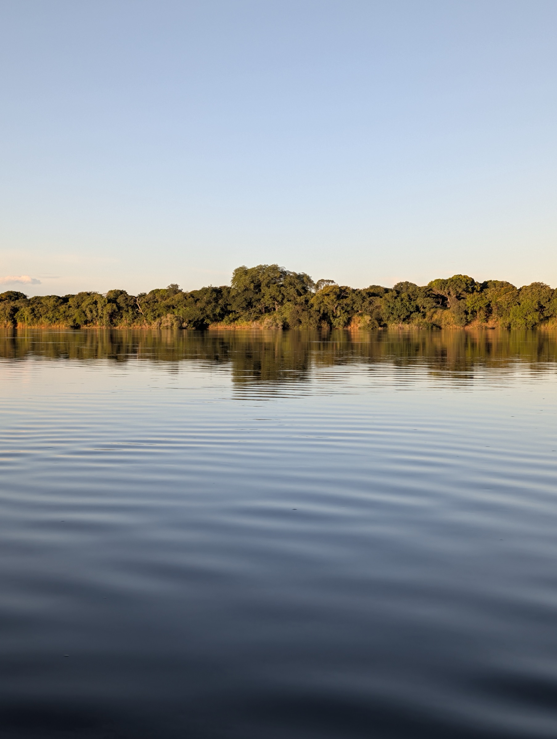 The Zambezi River bordered by woodland at Four Rivers Ranch